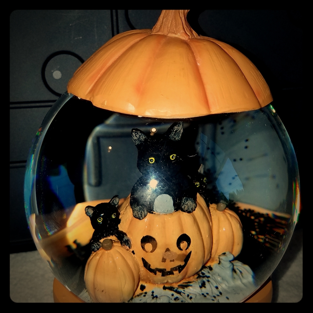 3 black kittens musical snowglobe